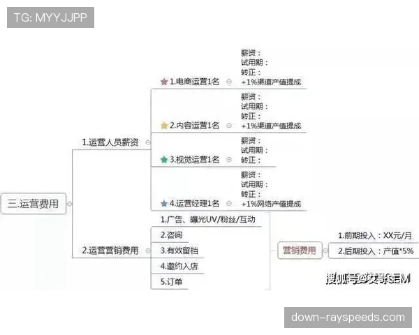 财务公平视角：解读赫罗纳持续黑马表现的运营与薪资结构